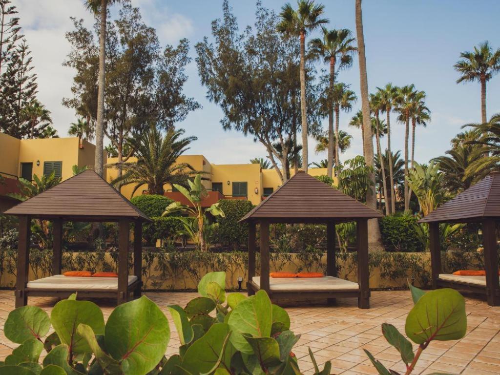 Pachi Beach Atlantic Garden 코라레호 외부 사진
